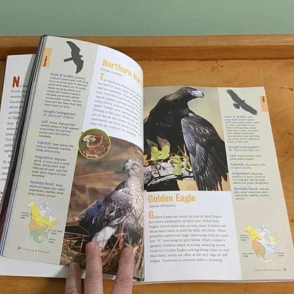Raptor! A Kids Guide  to Birds of Prey - Picture 5 of 6